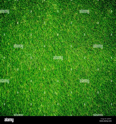 Green grass texture from a soccer field Stock Photo - Alamy