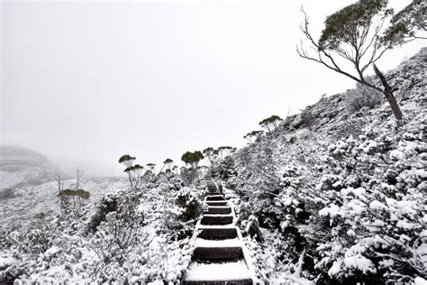 hiking in winter cradle mountain - Awesome Explorations