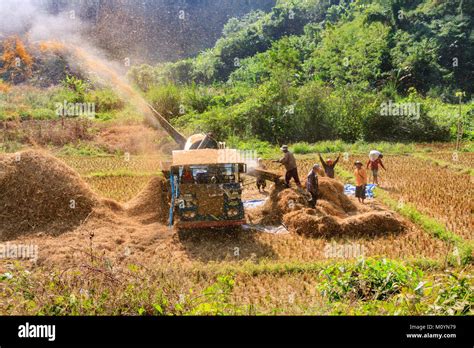 Threshing machine in operation, Northern Thailand Stock Photo - Alamy