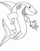 Shark Coloring Pages Free Printable sketch template