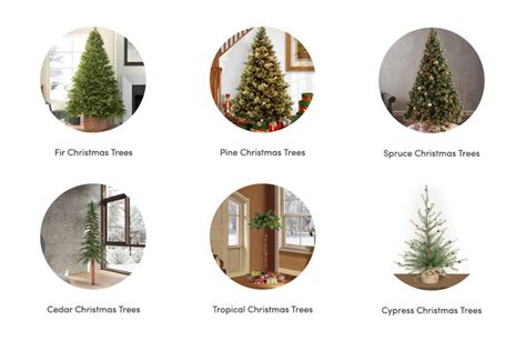 Christmas Tree Types | Wayfair