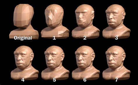 ATOR: Homo heildelbergensis - forensic facial reconstruction with Sculpt Mode on Blender