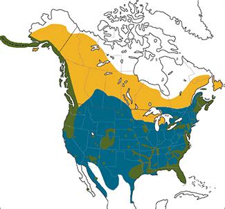 Eagle Gallery: Bald Eagle Range Map