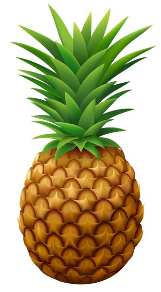 Pineapple PNG Vector Clipart Image | Pineapple images, Pineapple vector ...