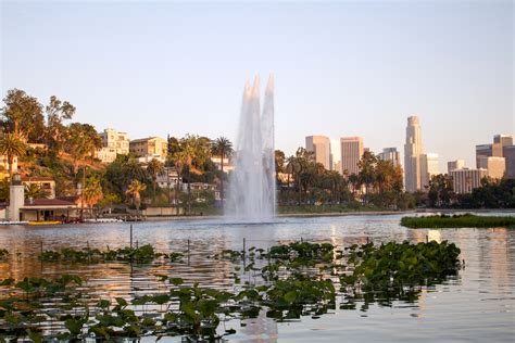 echo park in los angeles, california - paintedposies