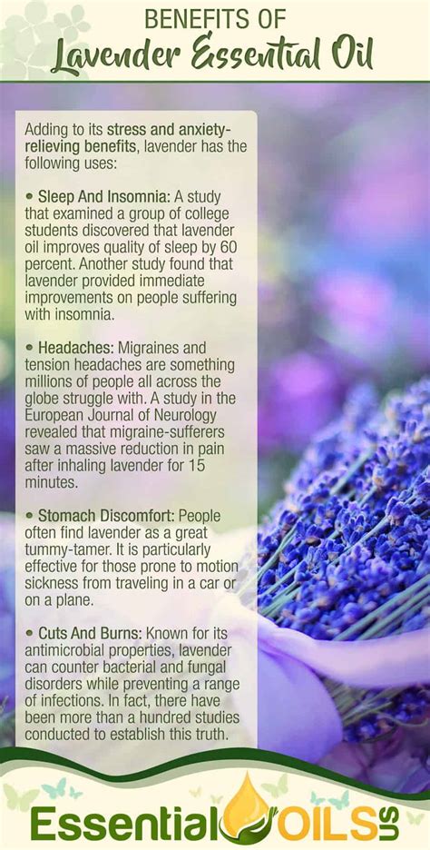 5 Frankincense and Lavender Blends For Stress | Essential Oils Us