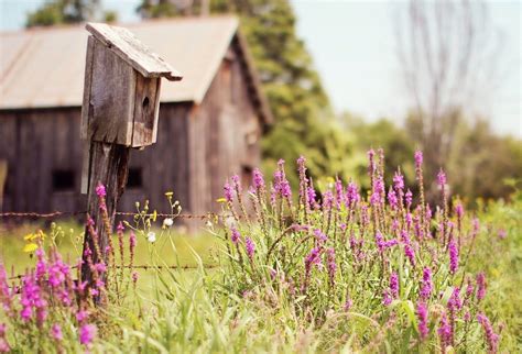 Rustic Desktop Wallpapers - Top Free Rustic Desktop Backgrounds ...