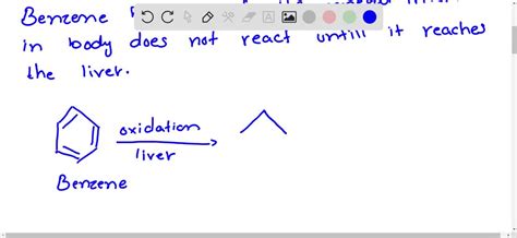 SOLVED:Although benzene and toluene have a number of chemical similarities, their metabolisms ...