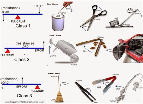 Science online: The types of the levers and the importance of each of them