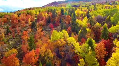 Fall foliage in the NC mountains: Boom or bust this year? - ABC11 ...