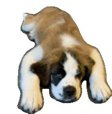 Sleeping Puppy Sticker - Sleeping Puppy - Discover & Share GIFs