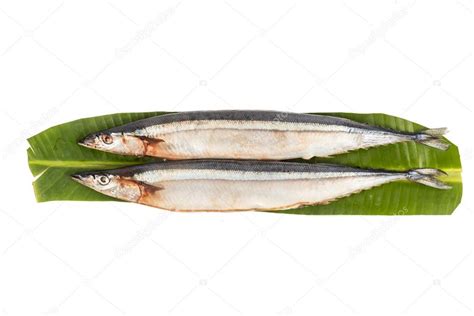 Fresh Japanese Sanma fish, available only during certain season annualy — Stock Photo © Thamkc ...