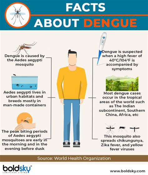 Dengue 101: Types, Causes, Symptoms, Complications, Treatments, Vaccines And Prevention ...