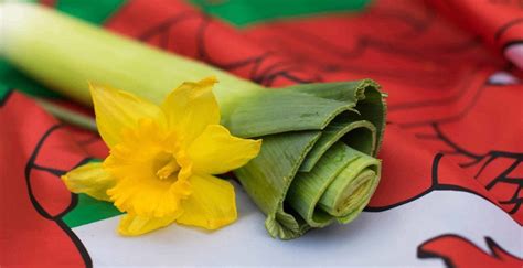 The Leek - National Emblem of Wales and the Welsh