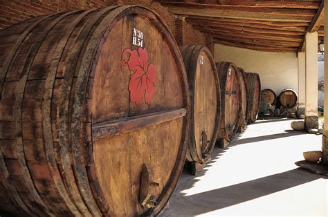 File:Big Wine Barrels, Cafayete, Argentina (7285509628).jpg - Wikimedia ...