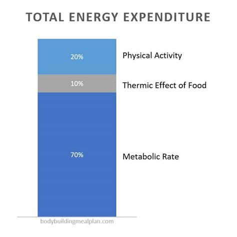 Thermic Effect of Food - How to Easily Burn 5-10% More Calories