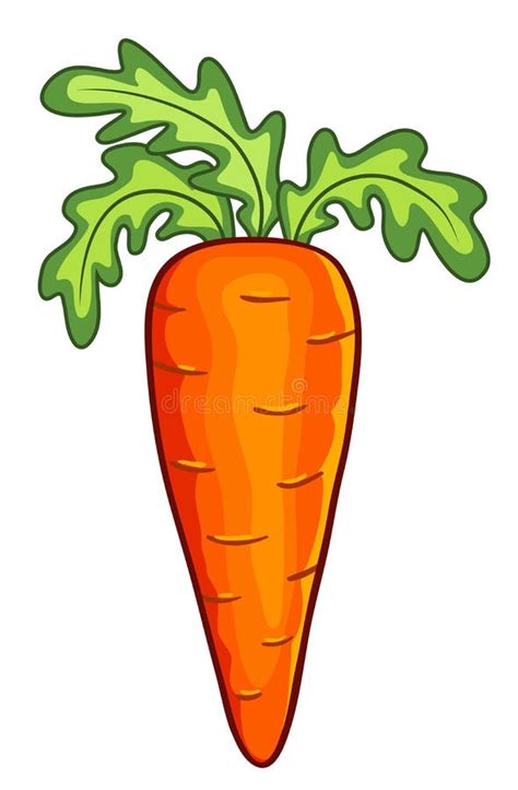 Cartoon carrot stock vector. Illustration of clipart - 110455651