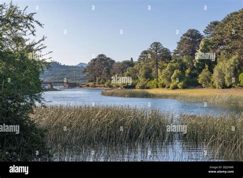 landscape at Alumine Lake, Villa Pehuenia, Argentina Stock Photo - Alamy