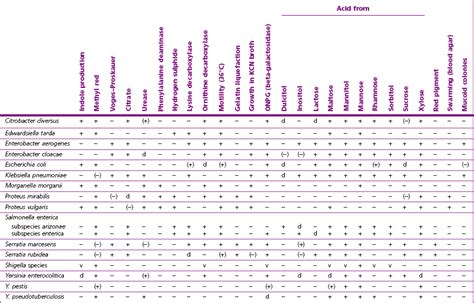 Enterobacteriaceae Identification Chart