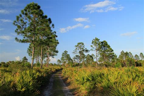 Best Hiking Trails in Florida - RV Lifestyle News, Tips, Tricks and ...