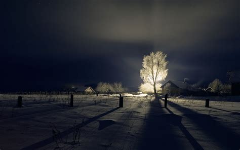 Beautiful winter landscape at night with a shining tree [Amazing Photo ...