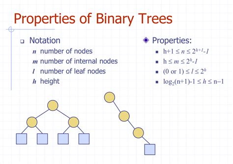 Properties of Binary Trees