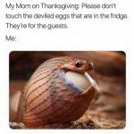 on thanksgiving - Funny LOL Memes