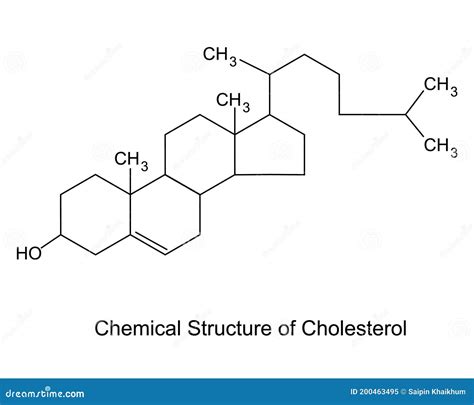 Cholesterol. Structure Of A Molecule. Vector Illustration ...