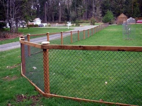 Unique Dog Fence Ideas for a Stylish and Safe Yard