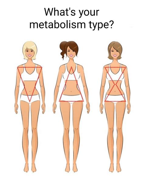 Metabolism Type, what is yours? The Importance Of A Metabolic Test.