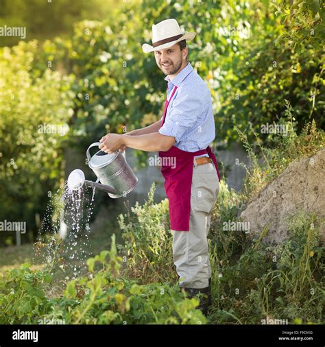 Young male gardener is watering plants in garden Stock Photo - Alamy