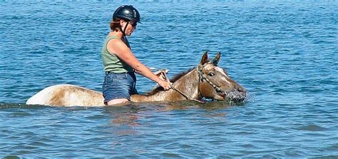 6 How-To Tips for Swimming Safely With Your Horse