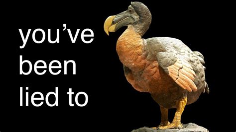 The REAL reason The Dodo Went Extinct - YouTube