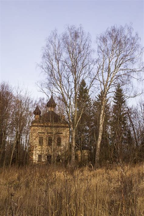 Landscape an Abandoned Temple in the Forest in Late Autumn Stock Photo ...