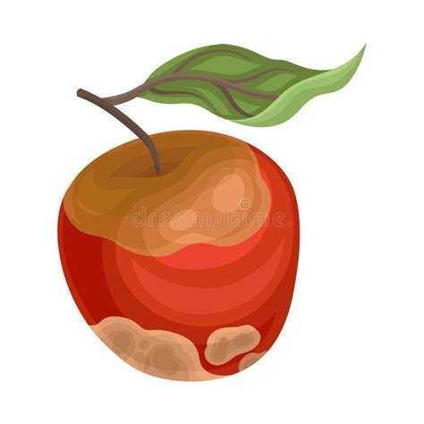 Rotten Apple Stock Illustrations – 938 Rotten Apple Stock Illustrations, Vectors & Clipart ...