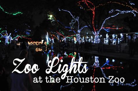 Zoo Lights at the Houston Zoo - Clumsy Crafter