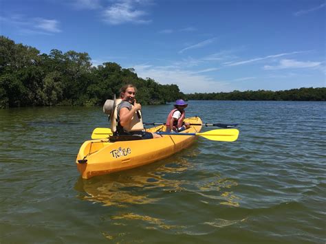 Chow and Chatter: Kayaking with Manatees