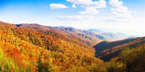 11 Best Road Trips in Tennessee - LazyTrips