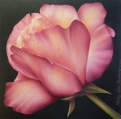 Cotton Candy Rose Painting by Shirley Nan Ruchong - Fine Art America