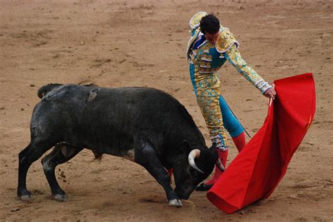 Adiós, Spanish bullfighting? | Salon.com