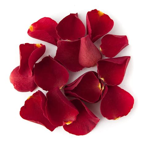 Red Rose Petals for St Valentine's Day - The Confetti Blog