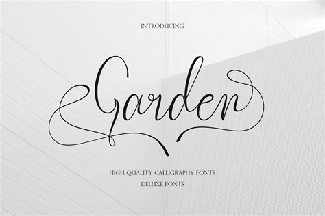 Calligraphy Font, Font Download, Signature Font, Script Font, Digital Font, Modern Font, Wedding ...