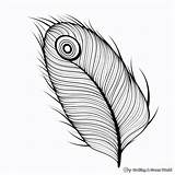 Abstract Peacock Coloring Pages  Free & Printable sketch template