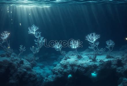 Coral Reef In The Blue Sea Picture And HD Photos | Free Download On Lovepik