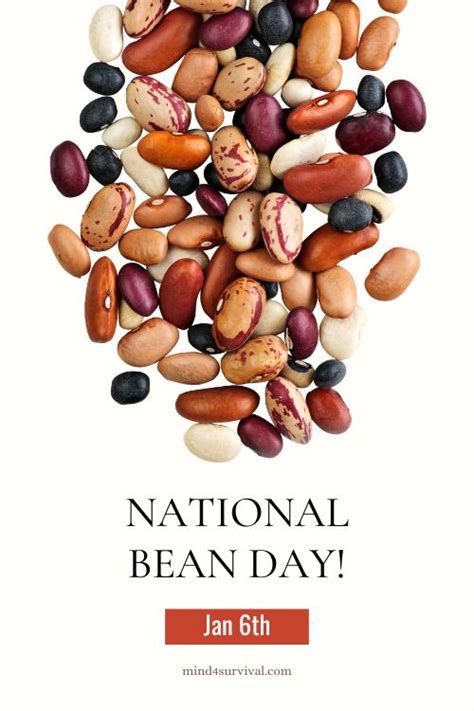 National Bean Day: Celebrate with These 5 Great Bean Recipes ...