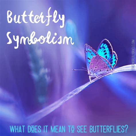 Butterfly Meaning By Color & Type and the Butterfly Spirit Guide