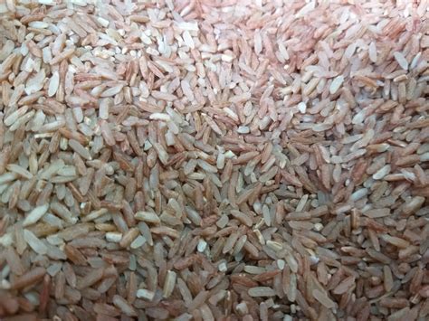 Organic Red Rice from the North - order price / 5 kilos – Farm2Metro