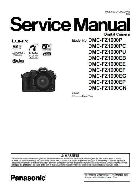 Panasonic Lumix Fz1000 Manual