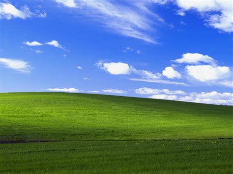 1024x768 Windows Xp Bliss 4k Wallpaper,1024x768 Resolution HD 4k Wallpapers,Images,Backgrounds ...