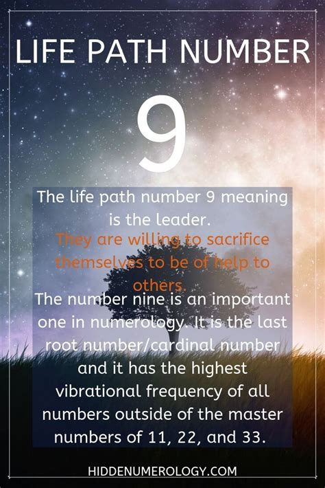 life path number 7 and 9 compatibility - Maile Corbitt